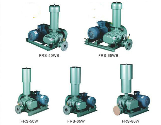 LZSR系列羅茨鼓風機